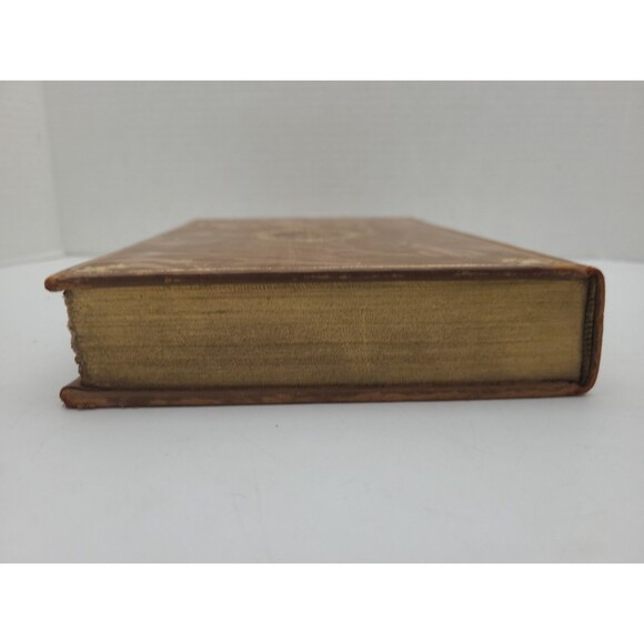 Zibeline Philippe De Massa The Immortals French Academy Medallion 1905 - Picture 6 of 9